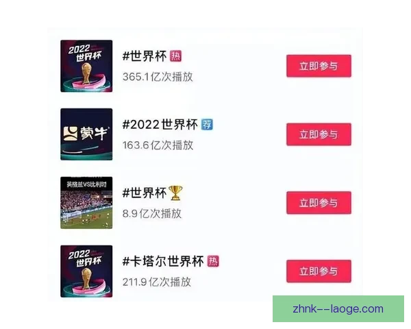 2026世界杯推出全新数字化球票系统 提升观赛体验与安全性